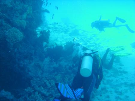 Friends Diving Center,Dana Beach Resort,Hurghada,Ägypten