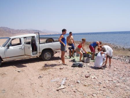 Octopus World,Dahab,Sinai-Nord ab Dahab,Ägypten