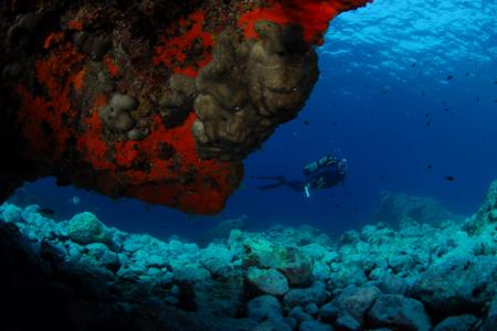 Tremiti Diving Center; Apulien/Gargano/Tremiti Inseln,Italien