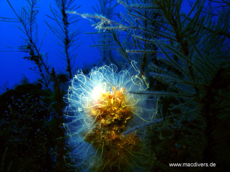 El Hierro, El Hierro,Spanien
