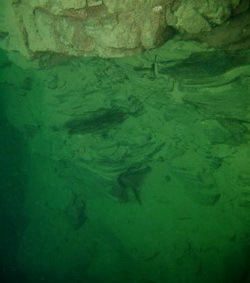 Attersee - Schwarze Br&uuml;cke, Steilwand - Harald Math&auml;