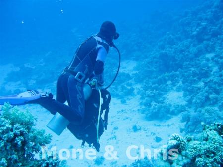 diving.DE el Flamenco,El Quseir bis Port Ghalib,Ägypten