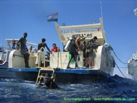 DiveToo Diving Club,Seagull,Hurghada,Ägypten