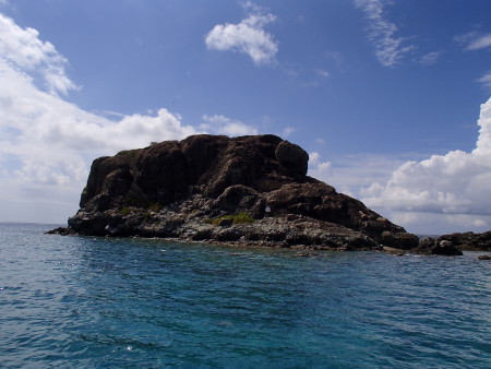 Octopus Diving Center,St. Martin