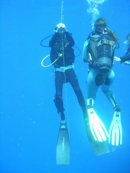 Ocean Spirit co. Diving Center,Pereybere,Mauritius