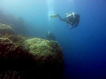 Beachsafari Diving Camp Marsa Alam,Marsa Alam und südlich,Ägypten