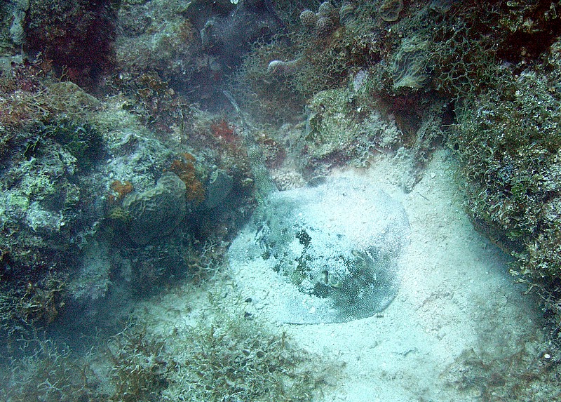 Bayahibe - Parque Nacional II, Bayahibe,Dominikanische Republik