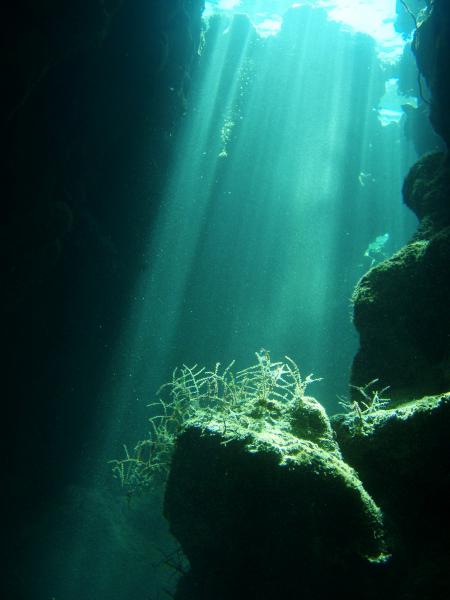 Beachsafari Diving Camp Marsa Alam,Marsa Alam und südlich,Ägypten