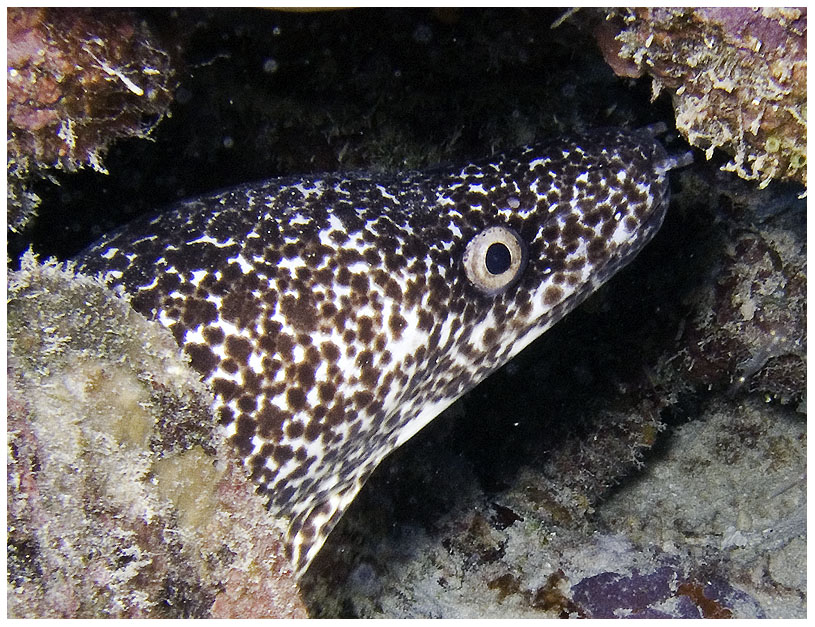 Bayahibe, Bayahibe,Dominikanische Republik