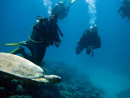 diving.DE el Flamenco,El Quseir bis Port Ghalib,Ägypten