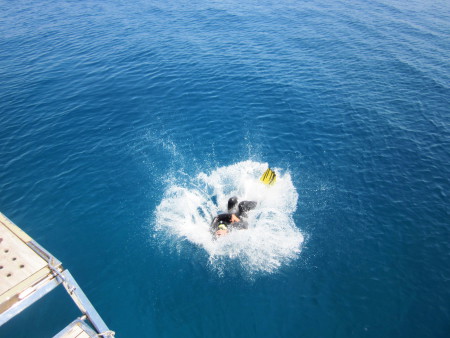 Seahorse A,Gulet,Seahorse Diving Center,Fethiye,Türkei