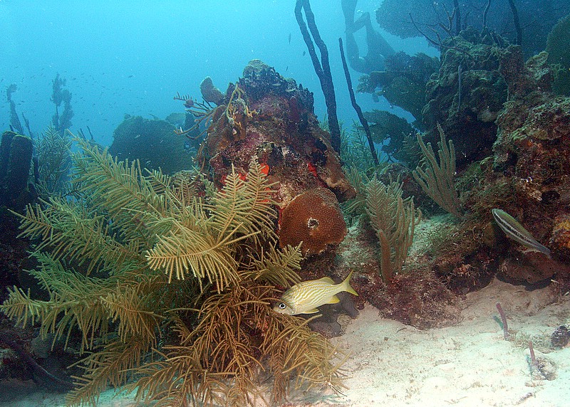 Bayahibe - Parque Nacional II, Bayahibe,Dominikanische Republik