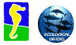 Tenerife Güímar Open Fotosub 2015 Tenerife Güímar Open Fotosub 2015