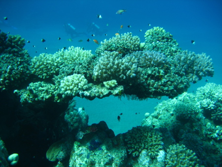 diving.DE el Flamenco,El Quseir bis Port Ghalib,Ägypten