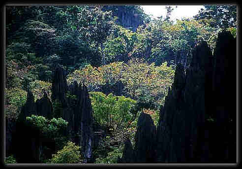 Luzon / Palawan, Luzon,Palawan,Philippinen