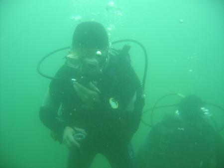 Dive in Essen,Nordrhein-Westfalen,Deutschland