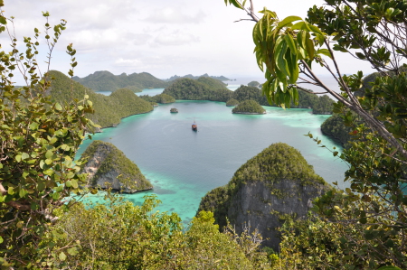 KLM Euphoria,Indonesien