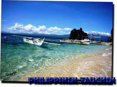Apo Island,Philippinen