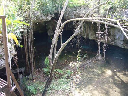 Cenote Dive Center,Tulum,Mexiko