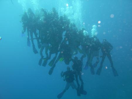 Bavaria Blue Diving,Hurghada,Ägypten