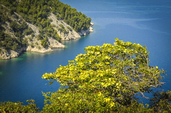 Fr&uuml;hjahrsakademie Krk Kroatien