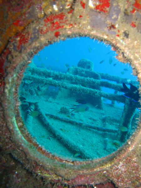 Gran Canaria,Mogan Wreck-Dive,Spanien