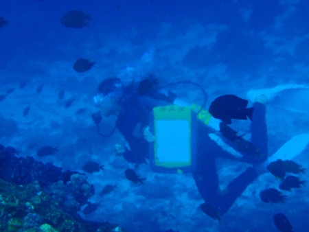 Big Blue Diving,Khao Lak,Andamanensee,Thailand,Wetzonedivers