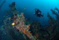 Hondaafushi Diving Center Werner Lau,Haa Dhaalu Atoll,Malediven