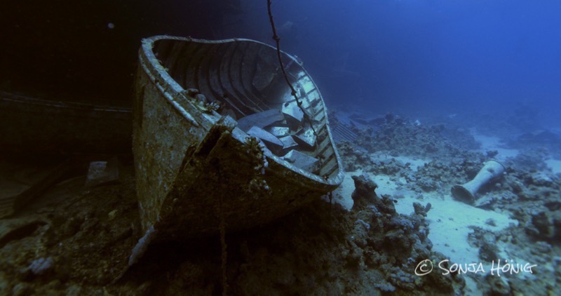 TG Wrack Salem Express, diving.DE Akassia, Ägypten, El Quseir bis Port Ghalib