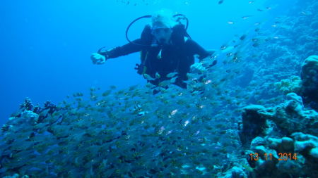 Extra Divers - Hotel Viva Blue,Sharm el Naga,Safaga,Ägypten