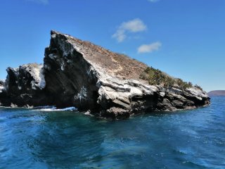 COUSIN ROCKS, Macarron Scuba Diver, Ecuador, Galapagos