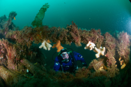 Diving Cellar,Stromness- Scapa Flow,Schottland,Großbritannien