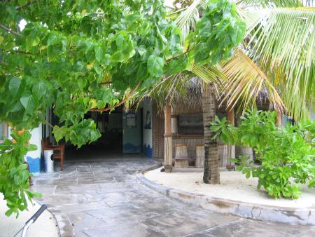 Dive Oceanus,Sun Island Resort,Süd Ari Atoll,Little Mermaid,Malediven