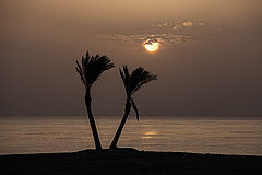diving.DE Abu Dabab,El Malikia Resort,Marsa Alam und südlich,Ägypten