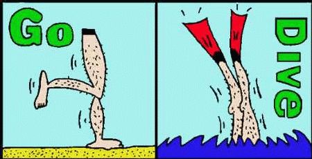 Go Dive DC `Paradise`,Hilton Sharm Waterfalls Resort,Sharm el Sheikh,Sinai-Süd bis Nabq,Ägypten