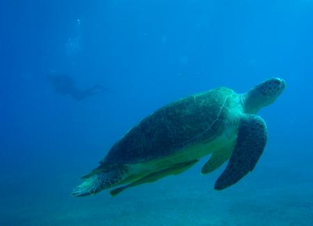 Extra Divers,El Quseir,El Quseir bis Port Ghalib,Ägypten