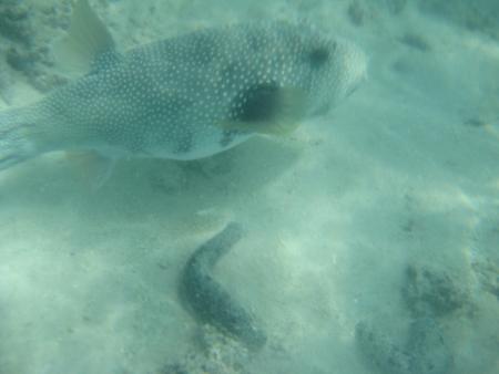 The Dive Centre,Rarotonga,Cookinseln