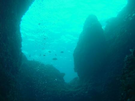 Dive & Fun,Cala D´Or,Mallorca,Balearen,Spanien