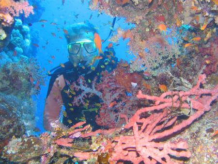 Extra Divers,Ras Nasrani,Melia Sinai Paradise Resort,Sharm El Sheikh,Sinai-Süd bis Nabq,Ägypten