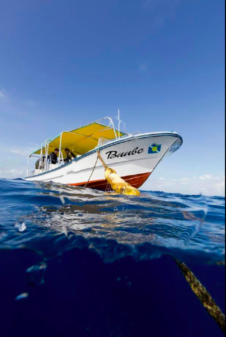 Tauchboot, Palau Dive Adventures, Palau