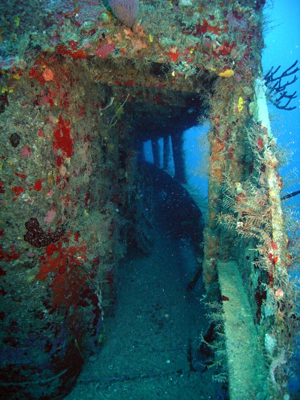 Bayahibe - Wreck St. George, St. George Wreck,Dominikanische Republik