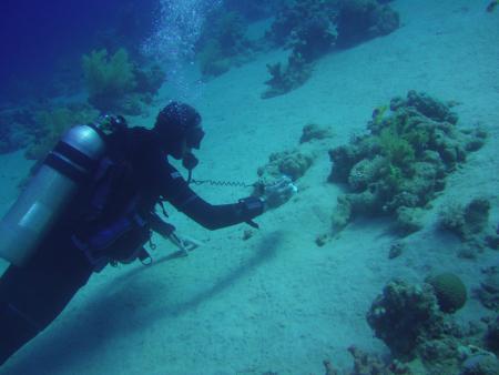 Magic Divers Sharm el Sheikh,Sinai-Süd bis Nabq,Ägypten