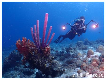 Scuba Do Dive Center,Curaçao,Niederländische Antillen