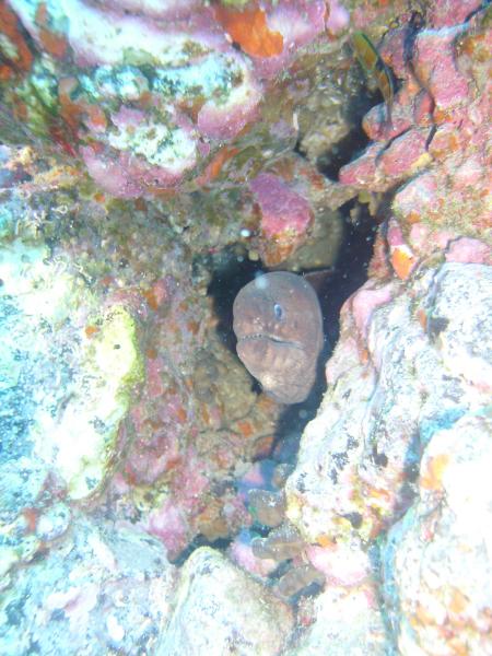 R.C. Diving,Puerto del Carmen,Lanzarote,Kanarische Inseln,Spanien