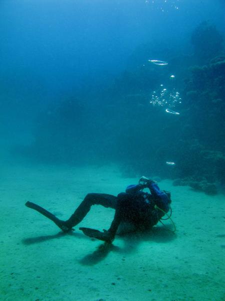 diving.DE el Flamenco,El Quseir bis Port Ghalib,Ägypten