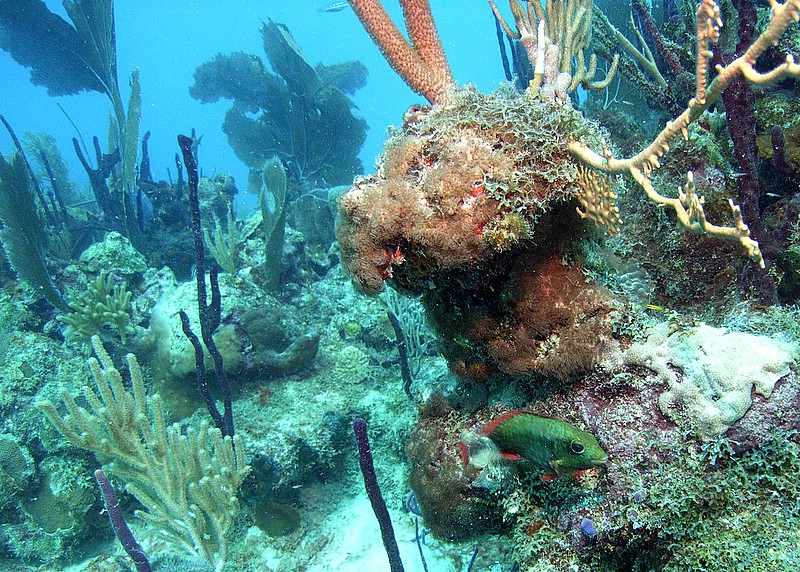 Bayahibe - Parque Nacional II, Bayahibe,Dominikanische Republik