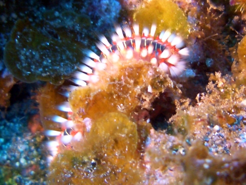 El Hierro, El Hierro,Spanien