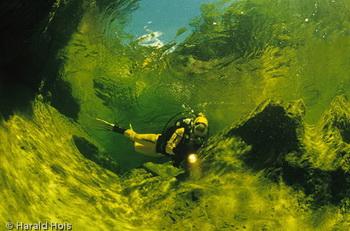 UW-Fotografie - Salzkammergut - Harald Hois