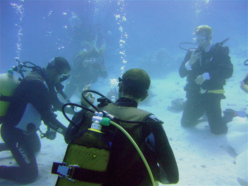 Unterwasserhochzeit Tobia Arbaa, Safaga ORCA - Dive Clubs,Ägypten