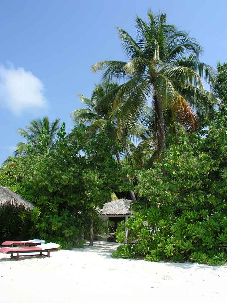Vilamendhoo (Süd Ari Atoll), Vilamendhoo,Malediven